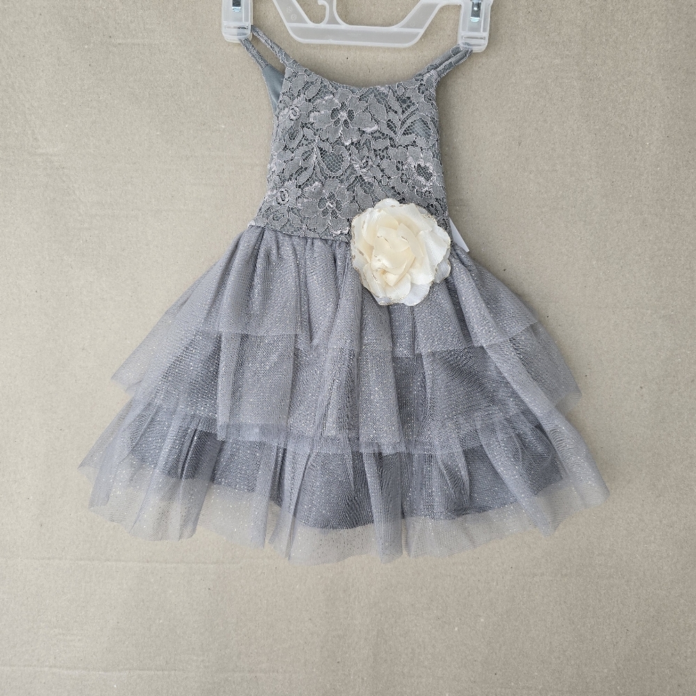 Nwt PINK & VIOLET Toddler Girls Sleeveless Lace Glitter Mesh Dress - Picture 2 of 8